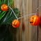 10ct. Orange Jack-O-Lantern Paper Lantern Halloween Lights